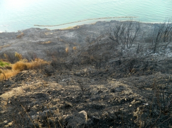 Incendi sul Parco Conero e San Bartolo, l' accanimento sulla Bellezza del territorio