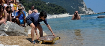La Caletta per la convalescenza delle tartarughe marine è a Numana