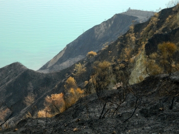 Incendi boschivi, l' assessore regionale Sciapichetti replica al presidente del parco Stacchiotti 